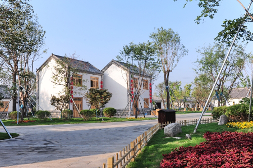 泗河景观赋能乡村振兴