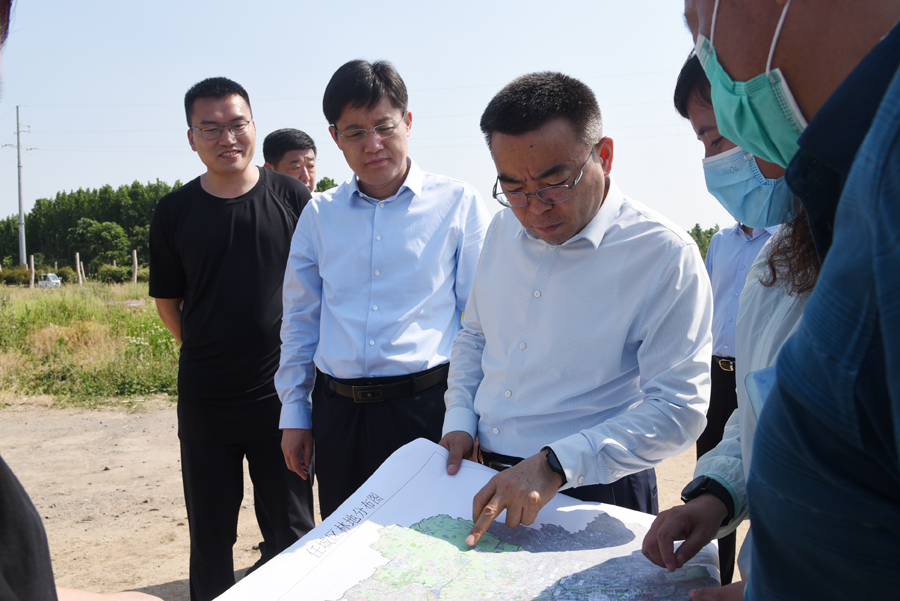 王庆峰赴任城区调研指导第一代美国白蛾防控工作